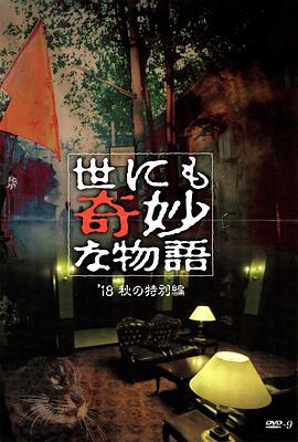 石排seo优化推广